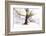 Ashes of Time-Viviane Fedieu Daniel-Framed Photographic Print