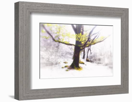 Ashes of Time-Viviane Fedieu Daniel-Framed Photographic Print