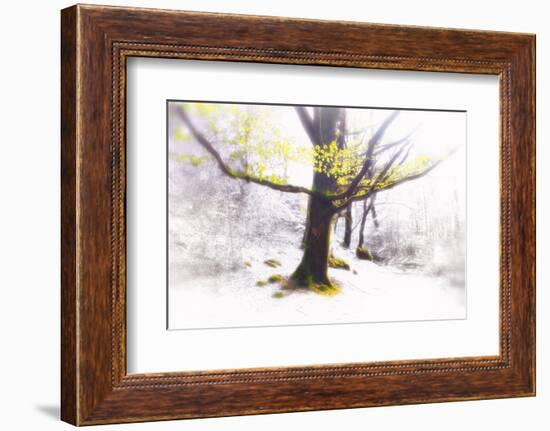 Ashes of Time-Viviane Fedieu Daniel-Framed Photographic Print