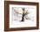 Ashes of Time-Viviane Fedieu Daniel-Framed Photographic Print