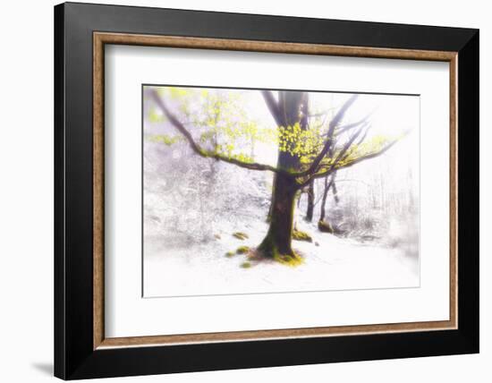 Ashes of Time-Viviane Fedieu Daniel-Framed Photographic Print