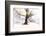 Ashes of Time-Viviane Fedieu Daniel-Framed Photographic Print