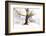 Ashes of Time-Viviane Fedieu Daniel-Framed Photographic Print