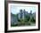 Ashford Castle, Cong Co Gaslway, Ireland-Marilyn Parver-Framed Photographic Print