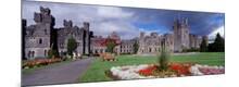 Premium Photographic Print