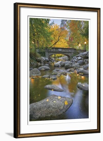 Ashland Creek In Fall-Donald Paulson-Framed Giclee Print