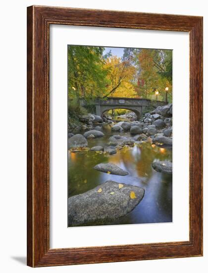 Ashland Creek in Fall-Donald Paulson-Framed Giclee Print