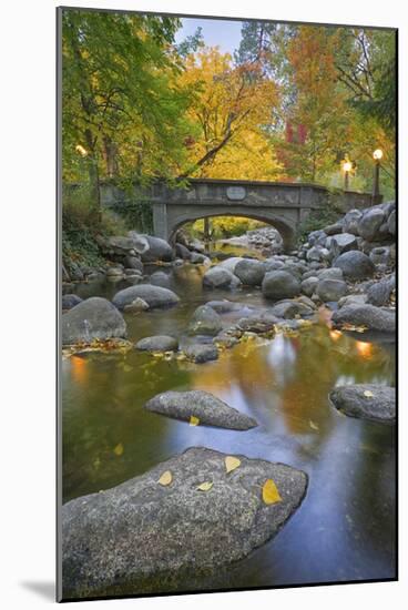 Ashland Creek in Fall-Donald Paulson-Mounted Giclee Print