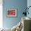 Ashley American Flag-Erin Ashley-Framed Art Print displayed on a wall