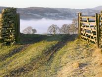 Frosty Early Morning Landscape Over Lake Windermere-Ashley Cooper-Photographic Print