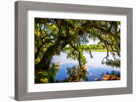 Ashley River Bank III-Alan Hausenflock-Framed Photo