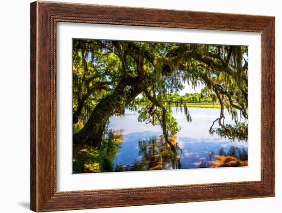 Ashley River Bank III-Alan Hausenflock-Framed Photo