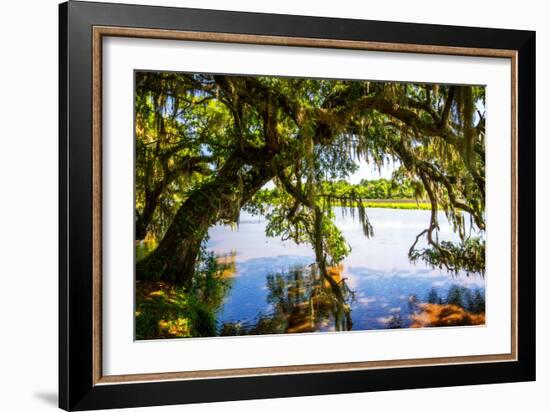 Ashley River Bank III-Alan Hausenflock-Framed Photo