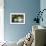 Ashley River Bank III-Alan Hausenflock-Framed Photo displayed on a wall