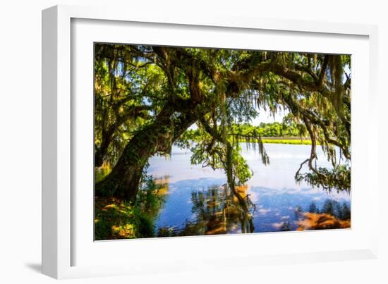 Ashley River Bank III-Alan Hausenflock-Framed Photo