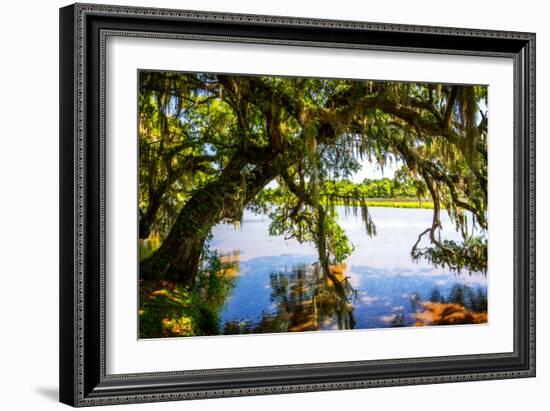 Ashley River Bank III-Alan Hausenflock-Framed Photo