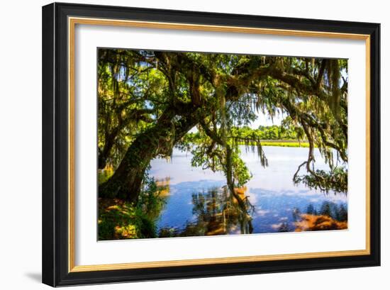 Ashley River Bank III-Alan Hausenflock-Framed Photo