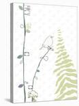 Lovely Fern-Ashley Thomas-Stretched Canvas