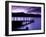 Ashness Landing, Derwentwater, Lake District National Park, Cumbria, England, United Kingdom-Ian Egner-Framed Photographic Print