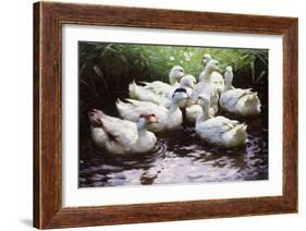 Ashore-Alexander Koester-Framed Giclee Print