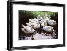 Ashore-Alexander Koester-Framed Giclee Print