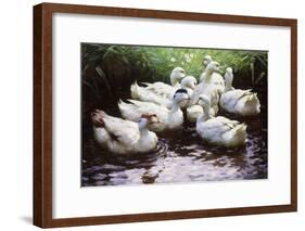 Ashore-Alexander Koester-Framed Giclee Print