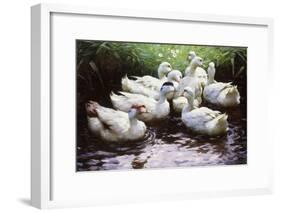 Ashore-Alexander Koester-Framed Giclee Print
