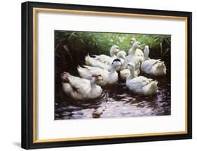 Ashore-Alexander Koester-Framed Giclee Print