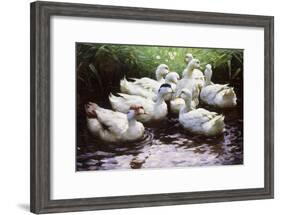 Ashore-Alexander Koester-Framed Giclee Print