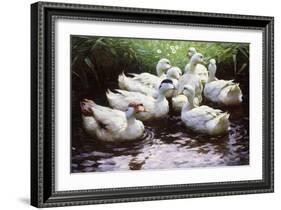Ashore-Alexander Koester-Framed Giclee Print