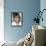 Ashton Kutcher-null-Framed Stretched Canvas displayed on a wall