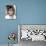 Ashton Kutcher-null-Photo displayed on a wall
