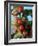 Ashwagandha Berries on Branch-Ottmar Diez-Framed Photographic Print