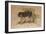 Ashy-Black Macaque (Macacus Ocreatus), 1869-Joseph Wolf-Framed Giclee Print