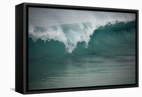 Asia, Australia Tasmania Friendly Beach Breakers-John Ford-Framed Premier Image Canvas