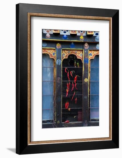 Asia, Bhutan, Haa Valley, Chili Peppers. Chili Peppers Drying in Windows-Ellen Goff-Framed Photographic Print