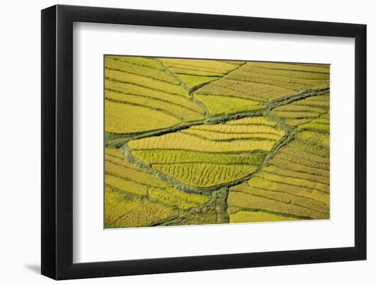 Asia, Bhutan, Paro, Rice Fields-Ellen Goff-Framed Photographic Print