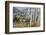 Asia, Bhutan, Prayer Flags Overlooking Thimphu-Ellen Goff-Framed Photographic Print