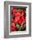 Asia, Bhutan, Thimphu, Chili Peppers for Sale in Market-Ellen Goff-Framed Photographic Print