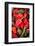 Asia, Bhutan, Thimphu, Chili Peppers for Sale in Market-Ellen Goff-Framed Photographic Print