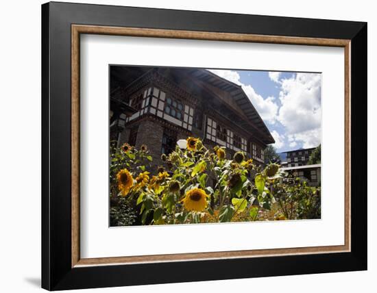 Asia, Bhutan, Thimpu. Sunflowers and Bhutanese Architecture-Kymri Wilt-Framed Photographic Print