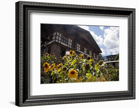 Asia, Bhutan, Thimpu. Sunflowers and Bhutanese Architecture-Kymri Wilt-Framed Photographic Print