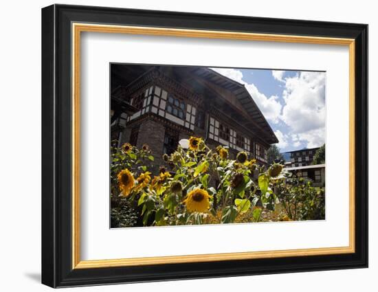 Asia, Bhutan, Thimpu. Sunflowers and Bhutanese Architecture-Kymri Wilt-Framed Photographic Print