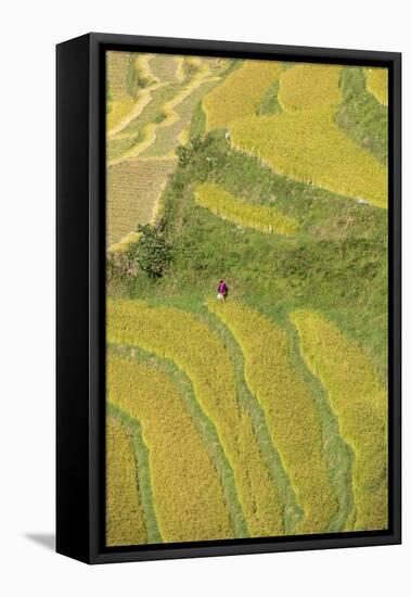 Asia, Bhutan, Trongsa Area. Rice Paddies-Ellen Goff-Framed Premier Image Canvas