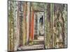 Asia, Cambodia, Angkor Watt, Siem Reap-Terry Eggers-Mounted Photographic Print