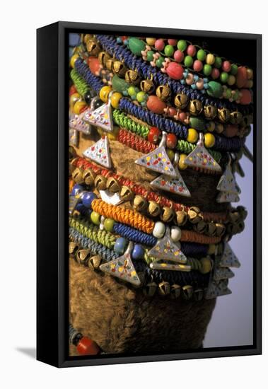 Asia, India, Pushkar. Camels necklaces, Pushkar Camel Festival.-Claudia Adams-Framed Premier Image Canvas