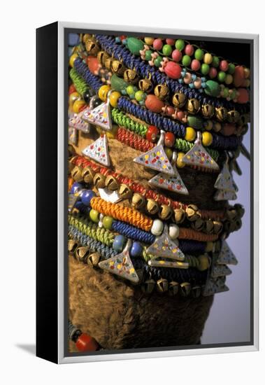 Asia, India, Pushkar. Camels necklaces, Pushkar Camel Festival.-Claudia Adams-Framed Premier Image Canvas