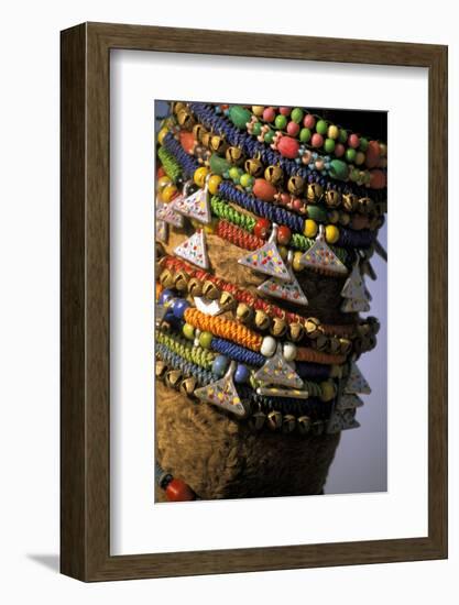 Asia, India, Pushkar. Camels necklaces, Pushkar Camel Festival.-Claudia Adams-Framed Photographic Print