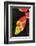 Asia, Indonesia. Heliconia Rostrata Flower-David Slater-Framed Photographic Print