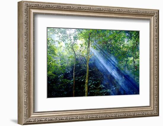 Asia, Indonesia, Sulawesi. Sunburst Lights Up a Steamy Rainforest-David Slater-Framed Photographic Print